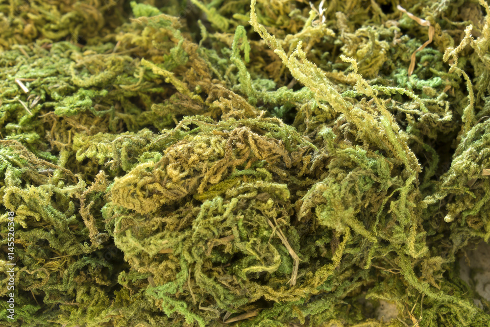 This is a photograph of Green Moss used for decoration This is a photograph of Green Moss used for decoration