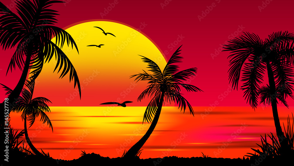 Summer tropical backgrounds set with palms, sky and sunset