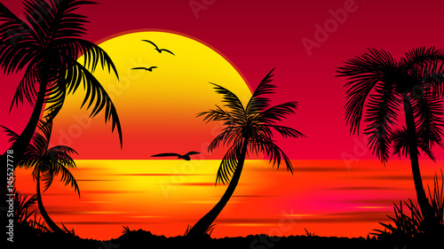 Fototapeta Naklejka Na Ścianę i Meble -  Summer tropical backgrounds set with palms, sky and sunset