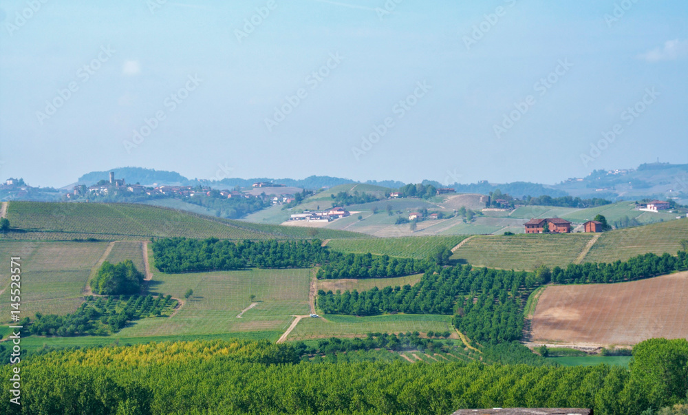 Landscape of Langhe