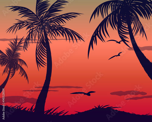 Summer tropical backgrounds set with palms  sky and sunset