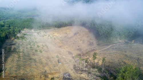 Deforestation. Logging. Rainforest destroyed for oil palm industry