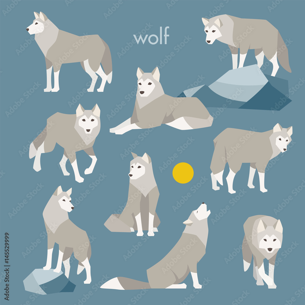 wolf animal vector illustration flat design