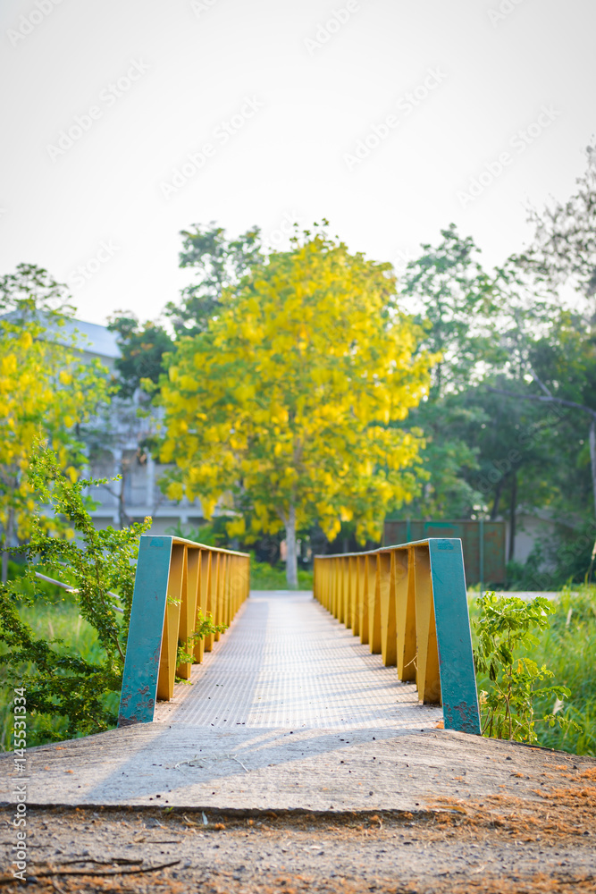 Green and yellow steel bridge and Golden Shower tree, flower or known as the golden rain tree, canafistula