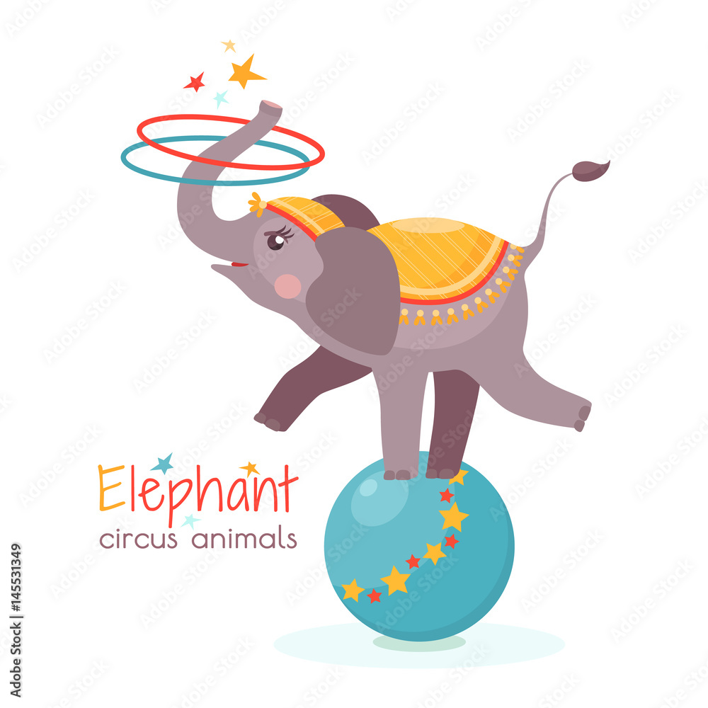 Circus elephant balances on ball and twists the hoops with its trunk.  Vector illustration in cartoon style for ticket, invitation, card, flyer  etc. Trained animal performs on the scene Stock Vector |