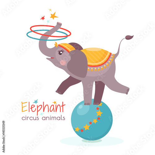 Circus elephant balances on ball and twists the hoops with its trunk. Vector illustration in cartoon style for ticket, invitation, card, flyer etc. Trained animal performs on the scene