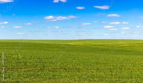 sky and grass  ground   background