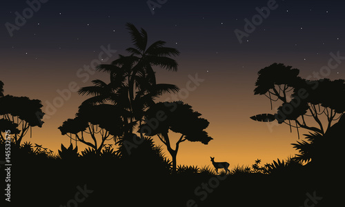At morning scene jungle with tree silhouette