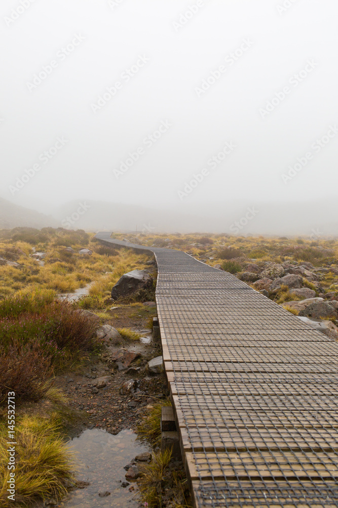 Tongariro Alpine Crossing Holzweg 