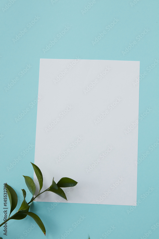 Green twig covering blank copy space Green twig covering blank copy space