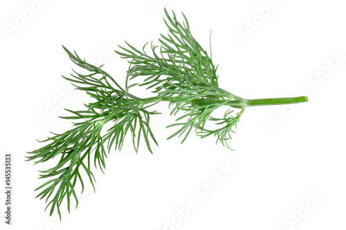 Vászonkép Fresh green dill isolated on white background