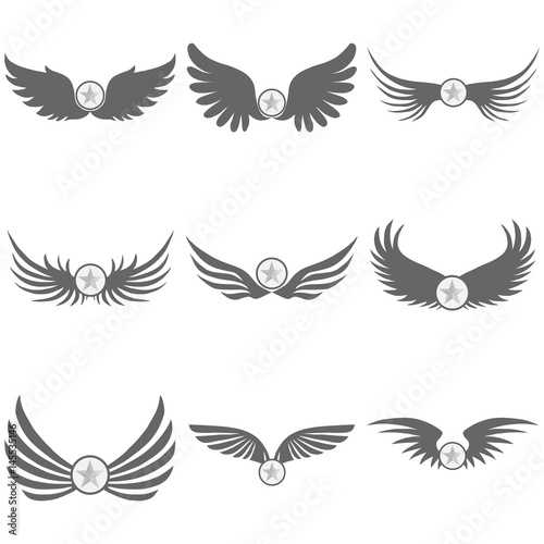 Logo of black wings with a star
