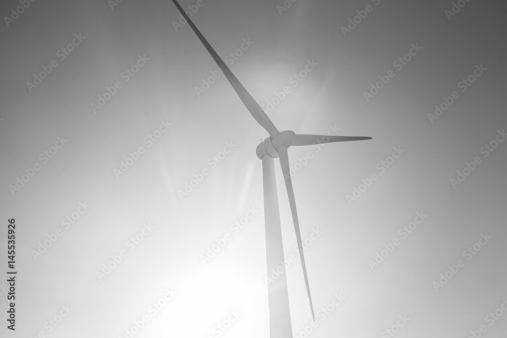 Wind turbines generating electricity with blue sky - energy conservation concept Wind turbines generating electricity with blue sky - energy conservation concept