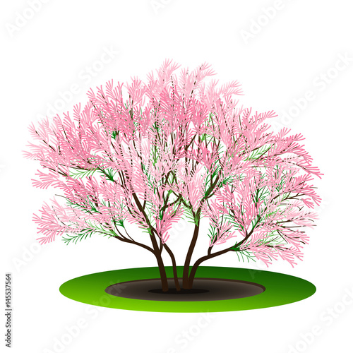 bush with green leaves and flowers