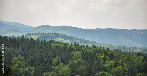 Panoramic view of the forest in Karlovy Vary, Czech Republic