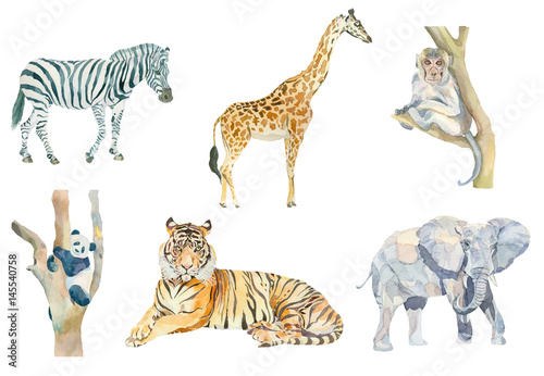 Set of watercolor wild animals on a white background.