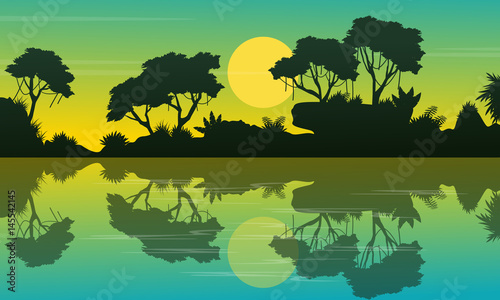 Landscape jungle at morning silhouettes