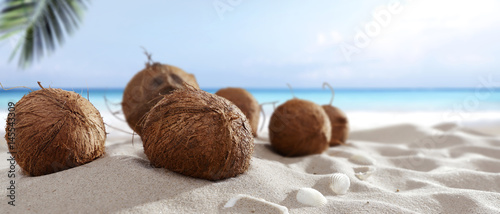 Fototapeta Naklejka Na Ścianę i Meble -  coconuts 