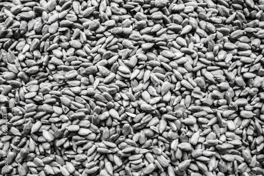 Sunflower seeds background with black and white Sunflower seeds background with black and white