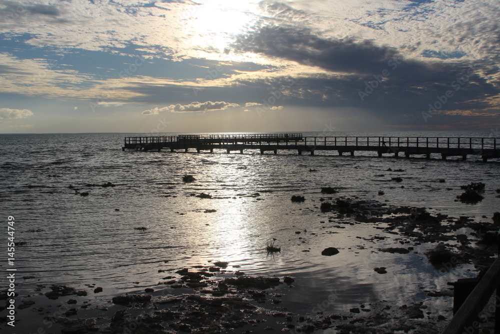 Fototapeta premium Boardwalk over the stromatolites at Hamelin Pool, Western Australia