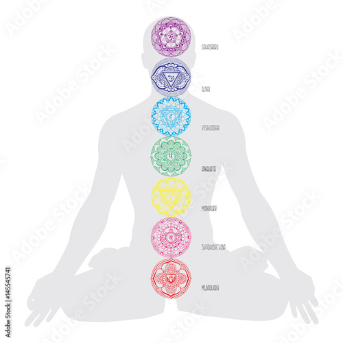 Human chakras. Scheme.