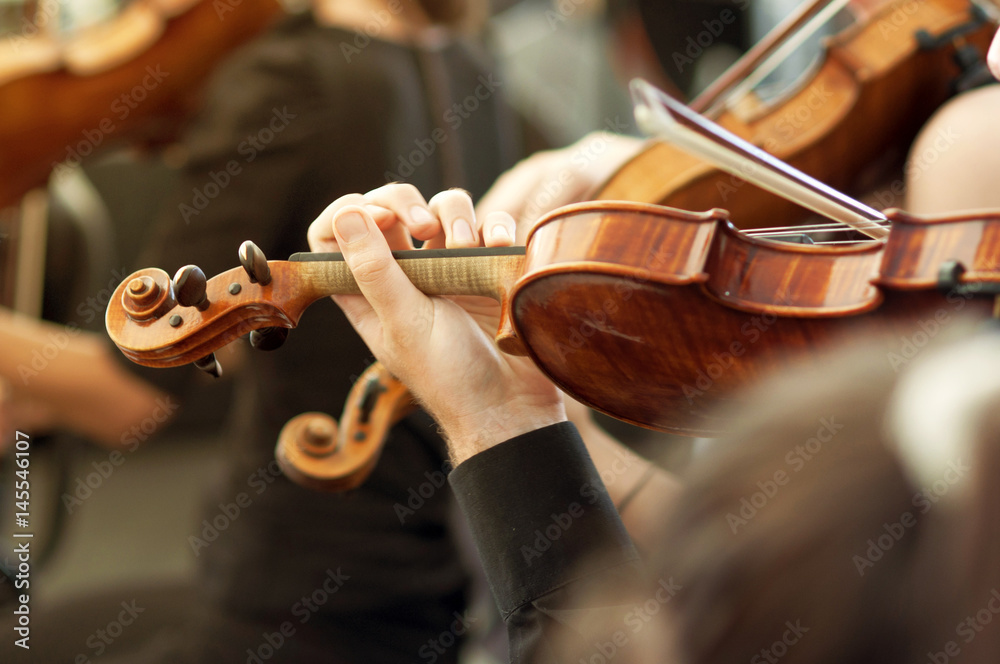 Fototapeta Członek orkiestry muzyki klasycznej grający na skrzypcach na koncercie