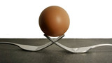 egg on a fork - art concept