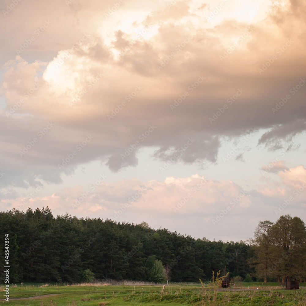 forest and clouds on a warm summer evening,