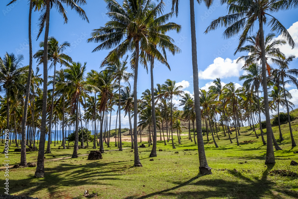 Anakena palm beach and Moais statues site ahu Nao Nao, easter island