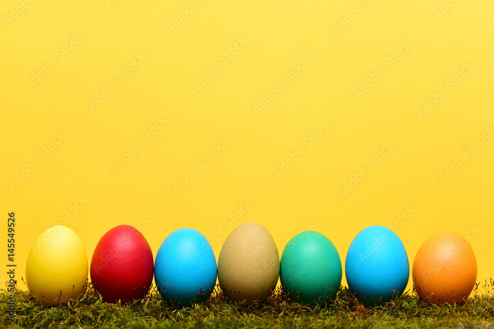 painted easter colorful eggs with green moss on yellow background