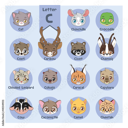 Animal portrait alphabet - Letter C