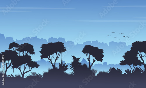 Collection stock rain forest landscape