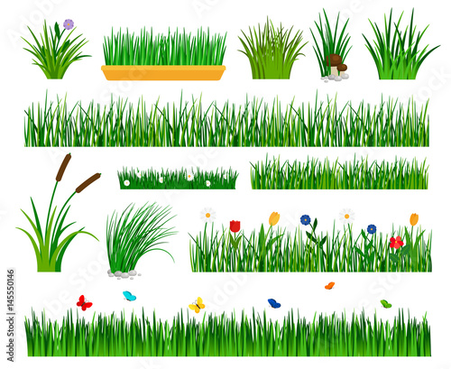 Growing grass template for garden