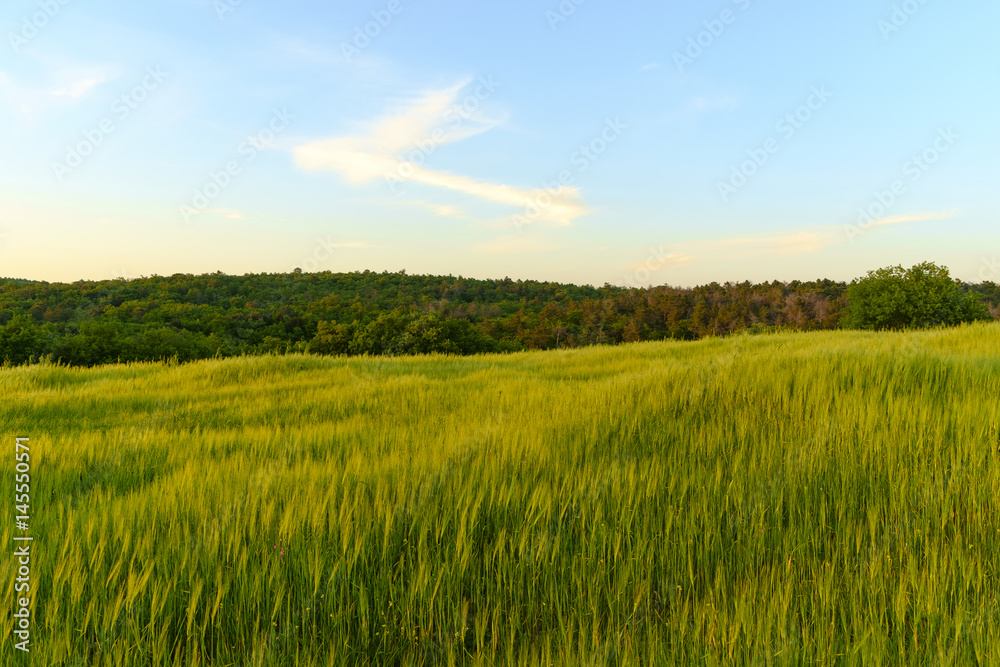 Countryside landscape around Pienza Tuscany