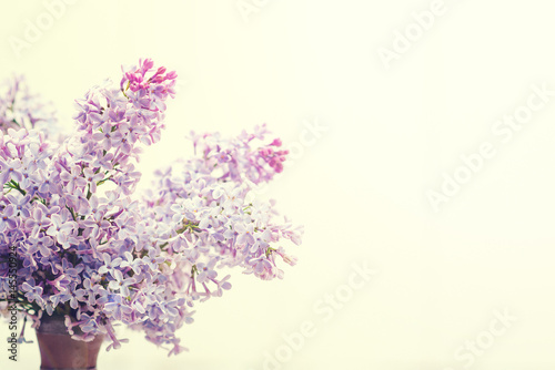 The beautiful lilac on the white background. Toned.