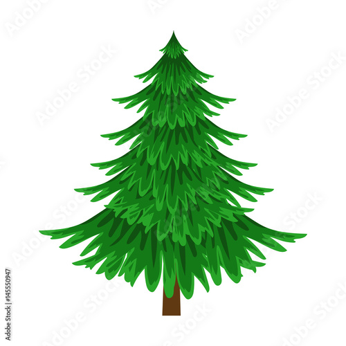 Spruce, evergreen tree, element of a landscape. Colorful cartoon vector Illustration