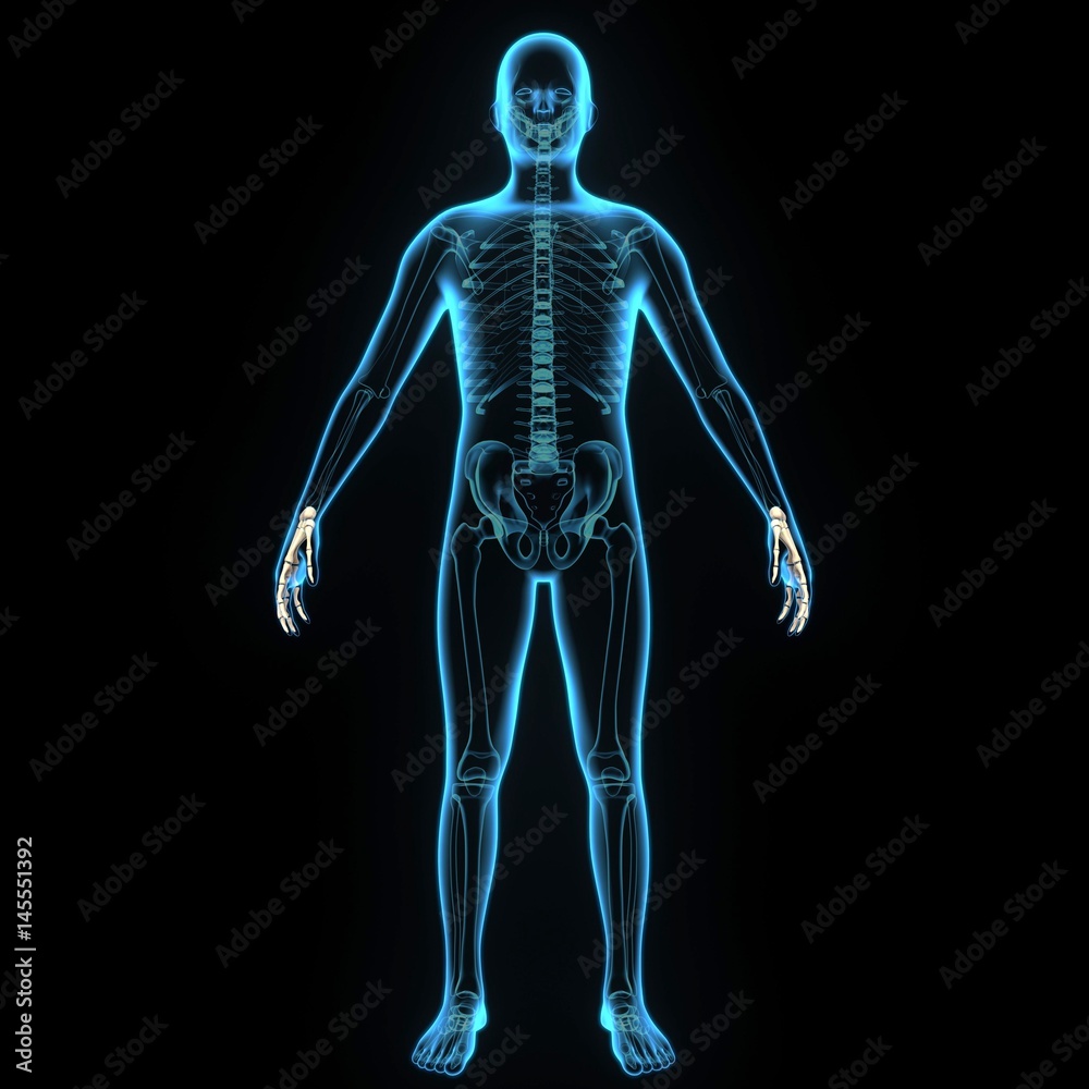 3d illustration human body hand bone 3d illustration human body hand bone