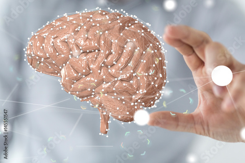 brain network