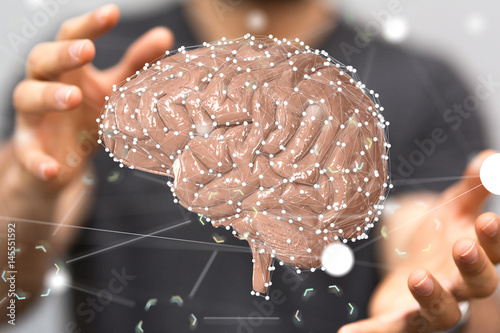 brain network