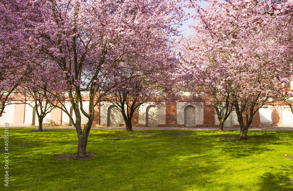 Blossoming garden in the Troja castle, spring in Prague Blossoming garden in the Troja castle, spring in Prague