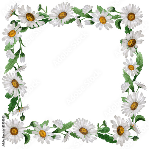 Wildflower chamomile flower frame in a watercolor style isolated. © yanushkov