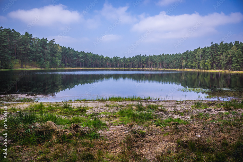 Small lake near Dziemiany town, Cassubia region of Poland