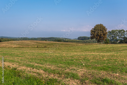Countryside near Stezyca town in Cassubia region of Poland photo