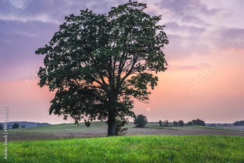 Landscape near Szymbark town, Cassubia region of Poland photo