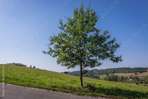 Fényképezés Rural landscape in Cassubia region of Poland