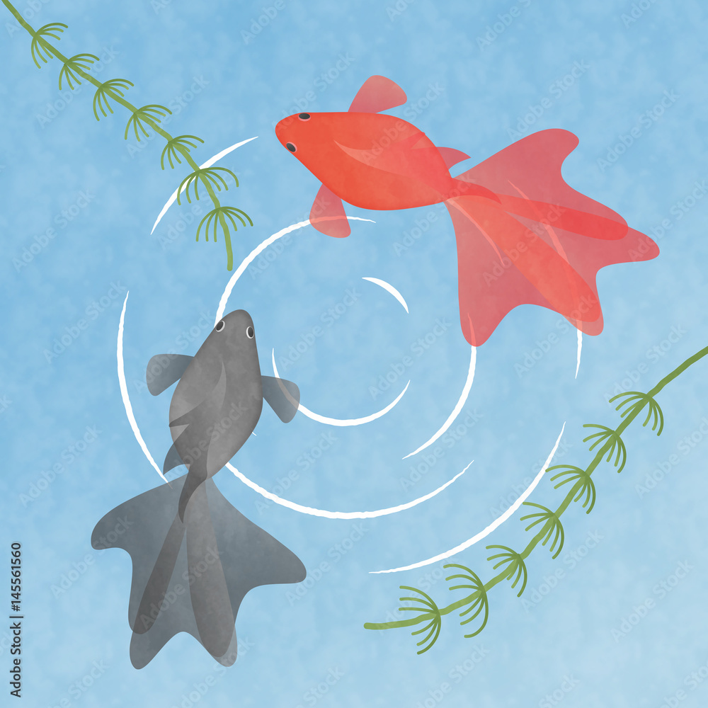 Stock Illustrationen 水の中を泳ぐ2匹の金魚 イラスト素材 夏 季節素材 和風素材 Adobe Stock