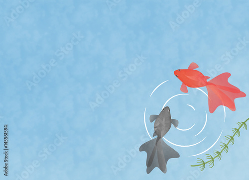Fototapeta Naklejka Na Ścianę i Meble -  水の中を泳ぐ2匹の金魚　イラスト素材　コピースペース　夏・季節素材・和風素材