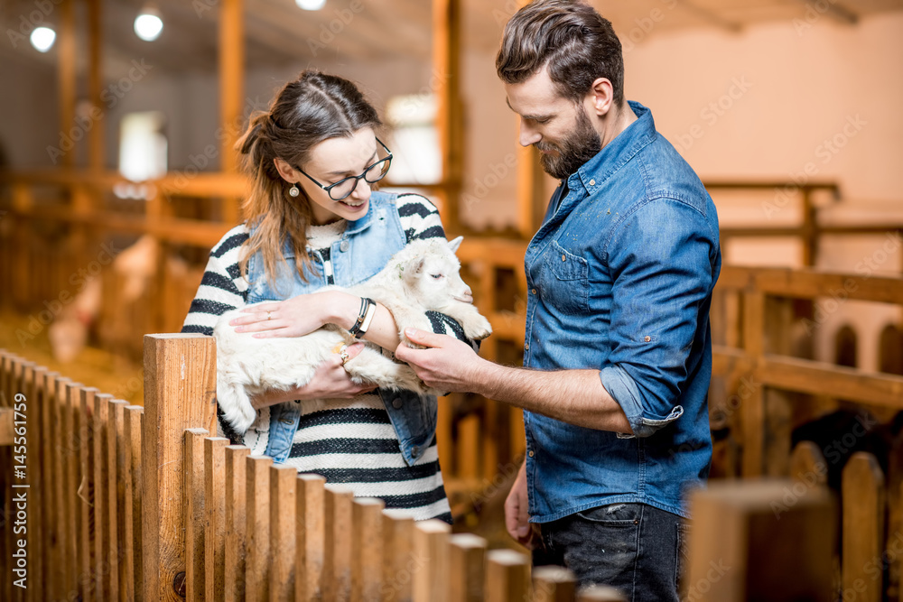 Man and woman veterinarians taking care about small baby goat indoors at the barn