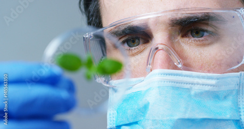 Fotografie A scientist in a laboratory analyzes the soil and the plants inside to collect the plant DNA