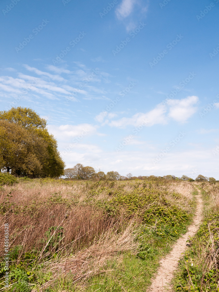 Fototapeta premium a nice lush landscape shot of shrub land in essex countryside with a clear blue sky and bits of clouds and green trees